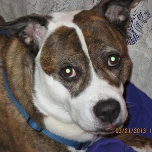 Meet your Posher, Richard